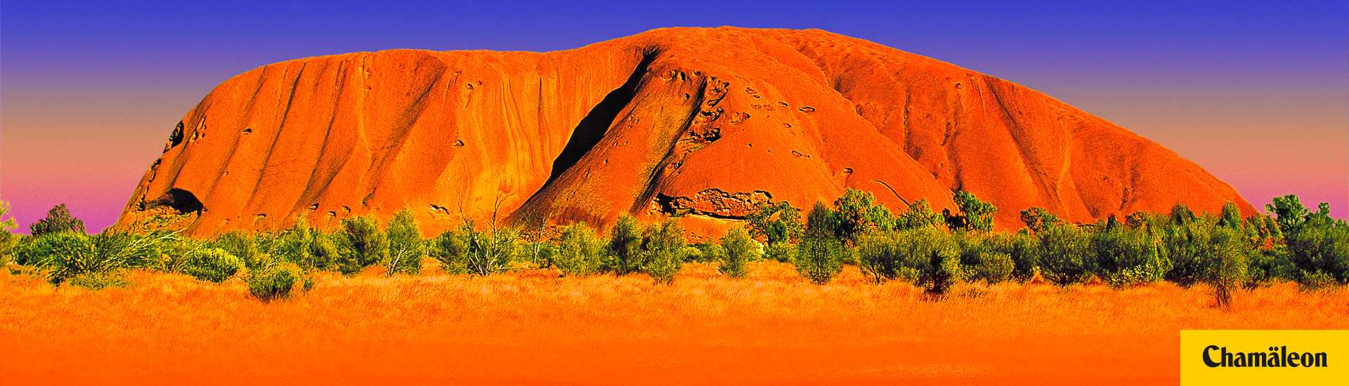 Uluru Niedermayer Reisen Reiseburo Und Busunternehmen